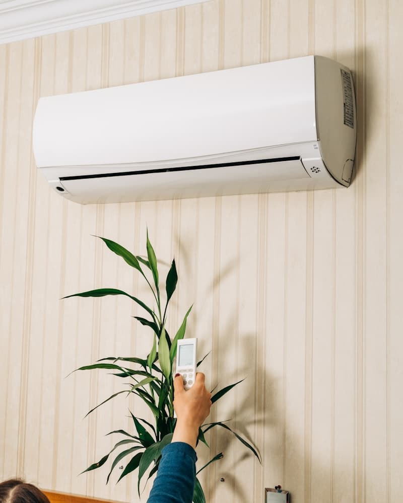 Guide Ultime pour Diriger une Entreprise CVC Rentable